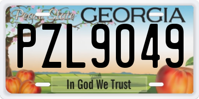 GA license plate PZL9049