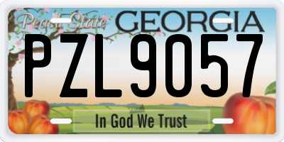 GA license plate PZL9057