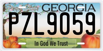 GA license plate PZL9059