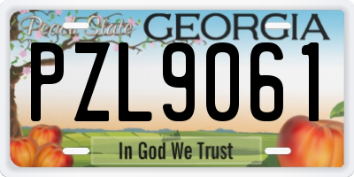 GA license plate PZL9061