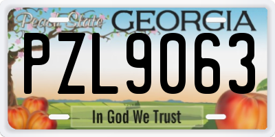 GA license plate PZL9063