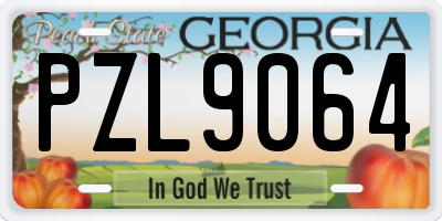 GA license plate PZL9064