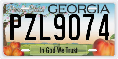 GA license plate PZL9074