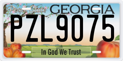 GA license plate PZL9075