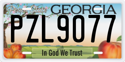 GA license plate PZL9077