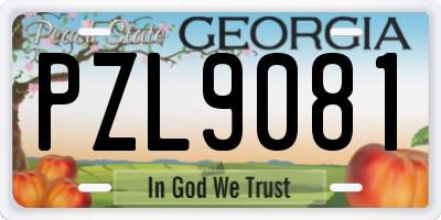 GA license plate PZL9081
