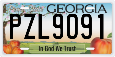 GA license plate PZL9091