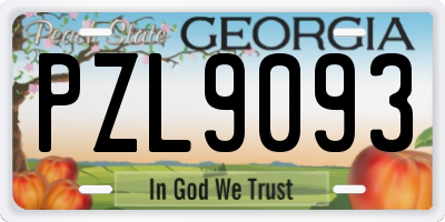 GA license plate PZL9093