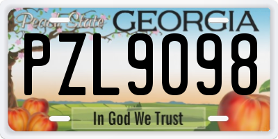 GA license plate PZL9098