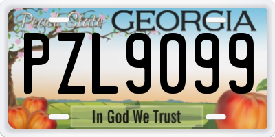GA license plate PZL9099