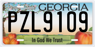 GA license plate PZL9109