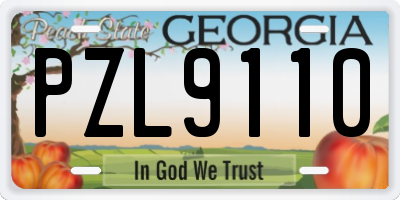 GA license plate PZL9110