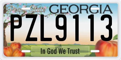 GA license plate PZL9113