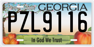 GA license plate PZL9116