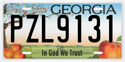 GA license plate PZL9131