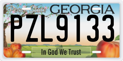 GA license plate PZL9133
