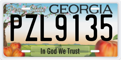 GA license plate PZL9135