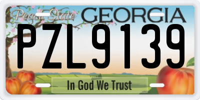 GA license plate PZL9139