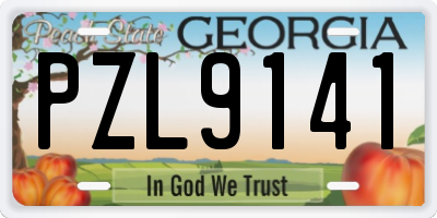 GA license plate PZL9141