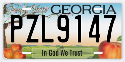 GA license plate PZL9147
