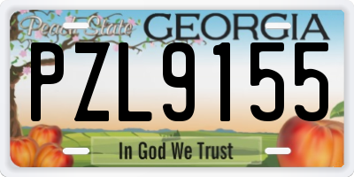 GA license plate PZL9155