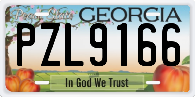 GA license plate PZL9166