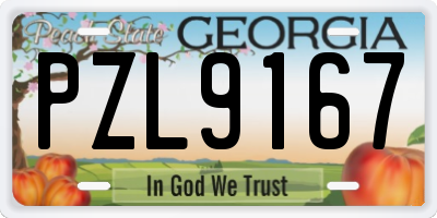 GA license plate PZL9167