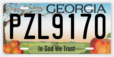 GA license plate PZL9170