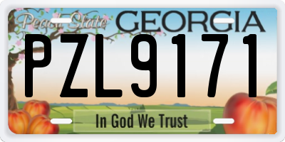 GA license plate PZL9171
