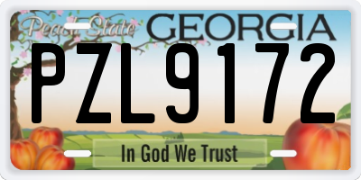 GA license plate PZL9172