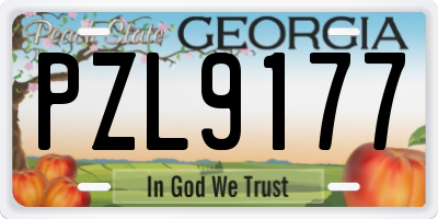 GA license plate PZL9177