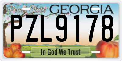 GA license plate PZL9178