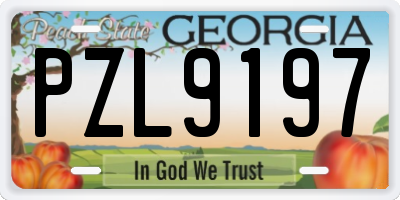 GA license plate PZL9197