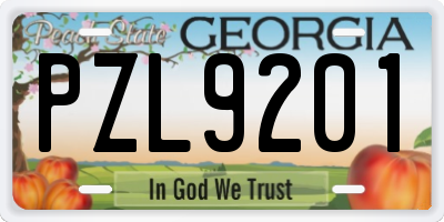 GA license plate PZL9201