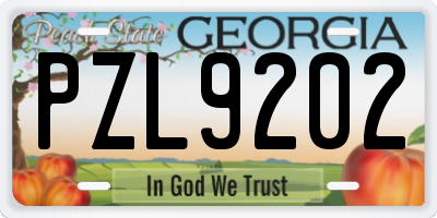 GA license plate PZL9202