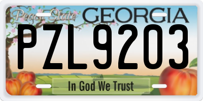 GA license plate PZL9203