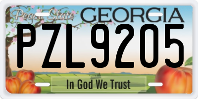 GA license plate PZL9205
