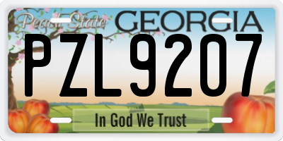 GA license plate PZL9207