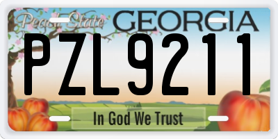 GA license plate PZL9211