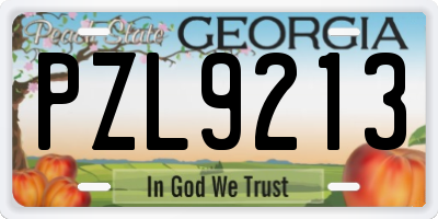 GA license plate PZL9213
