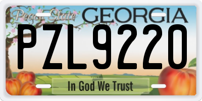 GA license plate PZL9220