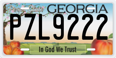 GA license plate PZL9222