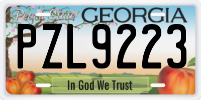 GA license plate PZL9223