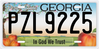 GA license plate PZL9225