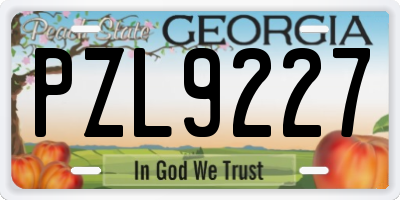 GA license plate PZL9227