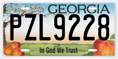 GA license plate PZL9228