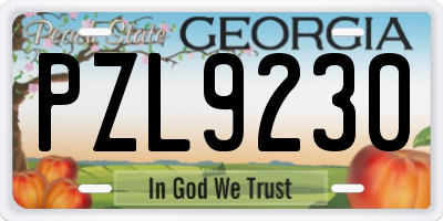 GA license plate PZL9230