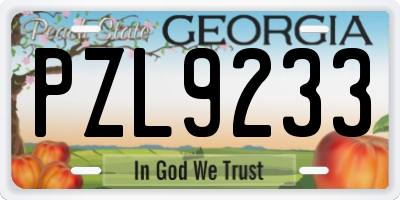 GA license plate PZL9233