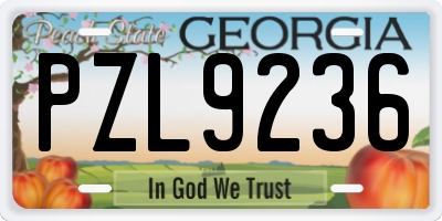 GA license plate PZL9236