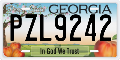 GA license plate PZL9242